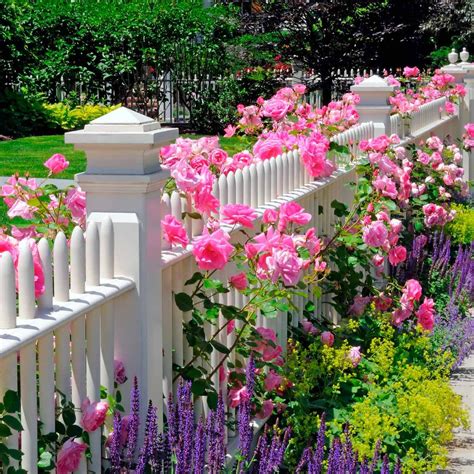 Flower Bed Ideas for the Front of Your House | Family Handyman