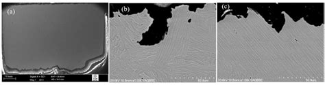 Crack Propagation Behaviour Of As Extruded Ti Al V Alloy A Overall