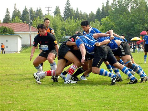 Rugby Scrum Free Stock Photo Public Domain Pictures