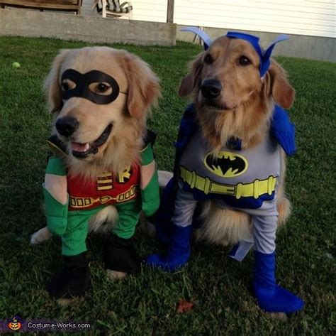 Batman and Robin Costumes for Dogs | Pet halloween costumes, Dog halloween costumes, Dog costumes