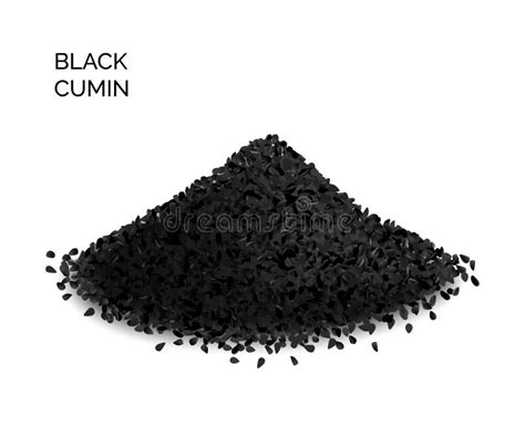 Comino Negro Nigella Sativa O Semillas De Alcahuelas Negras Ilustraci N