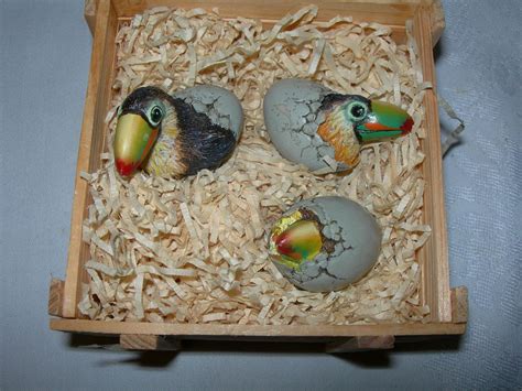 Vintage Conservation International Toy Crate w 3 Hatching Bird Toucan ...