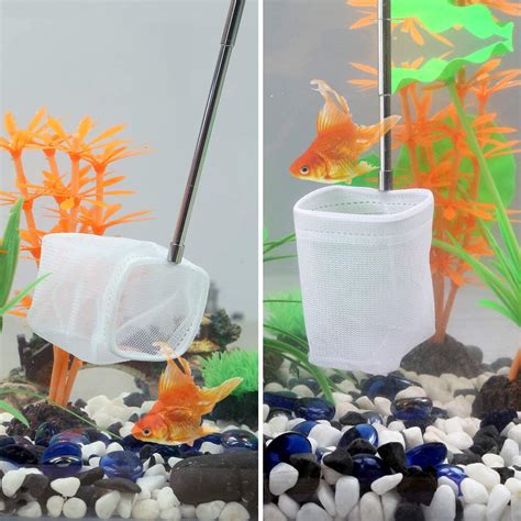 Carefree Fish Aquarium Stainless Steel Small Fishing Net, Extendable ...