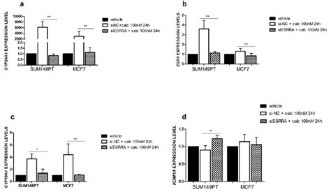 Figure 3 from ERRα VDR Axis Promotes Calcitriol Degradation and