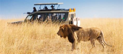 5 Things You Will Remember on Your Safari Experience in Africa