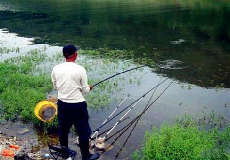 釣魚高手分享：春季釣鯽魚這樣做，讓你越釣越爽！ 每日頭條