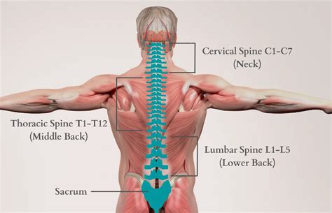 FYZICAL Lubbock Back Pain