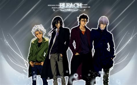 Kubo Tite Studio Pierrot Bleach Toshiro Hitsugaya Bleach Gin