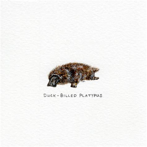 087 | "Duck-Billed Platypus" — the miniature zoo