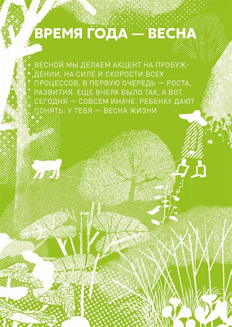 Пойдём гулять! (Мурашова Екатерина, Анащенко Дина) — купить книгу от ...