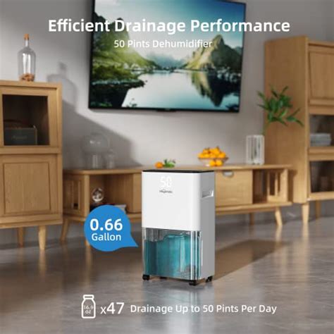 Hogarlabs Sq Ft Pint Energy Star Dehumidifier For Home