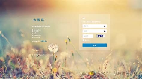 Java开发框架大比拼：若依、Jeesite与jeecgBoot的深度对比与实战案例分析-51CTO.COM