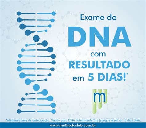 Dna Resultado Em Dias Methodos Laborat Rio