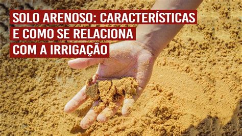 Que Características Do Solo Arenoso Dificultam O Cultivo REVOEDUCA