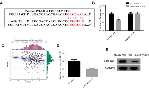 Mir 133b Suppresses Invasion And Migration Of Gastric Cancer Cells Via