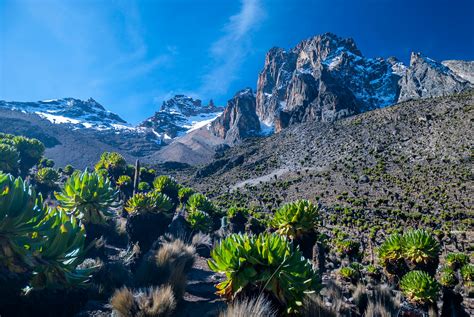 Glorious Solitude On Mt Kenya Lonely Planet