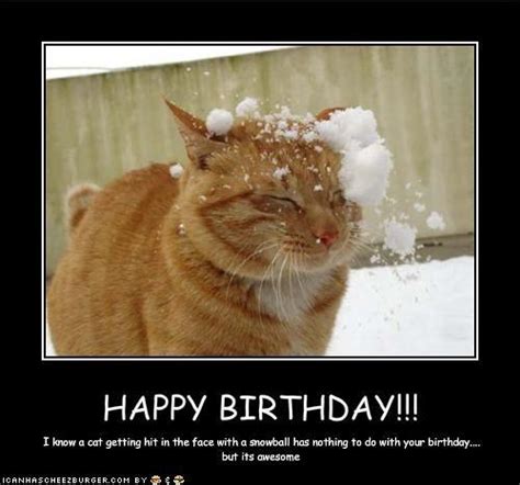 happy birthday cat meme - Deanne Stageman