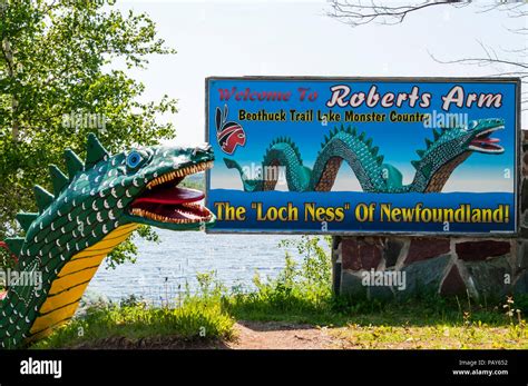 Beothuk trail lake monster country hi-res stock photography and images ...