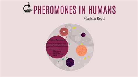 PHEROMONES IN HUMANS by marissa reed on Prezi