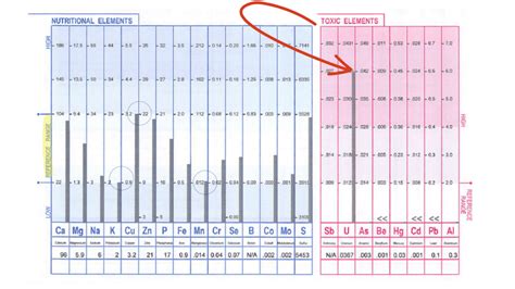 Meet Alexis A Closer Look At Her Mineral Hair Analysis Test Results