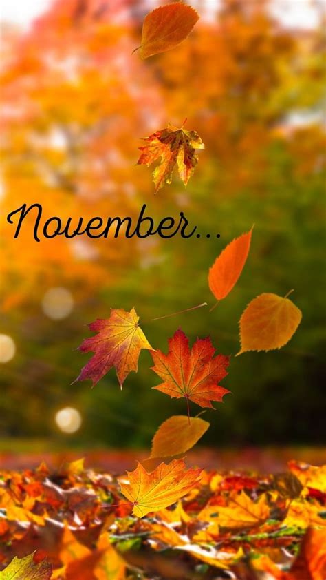 November Fall Wallpaper Aesthetic for IPhone Android IOS Homescreen ...