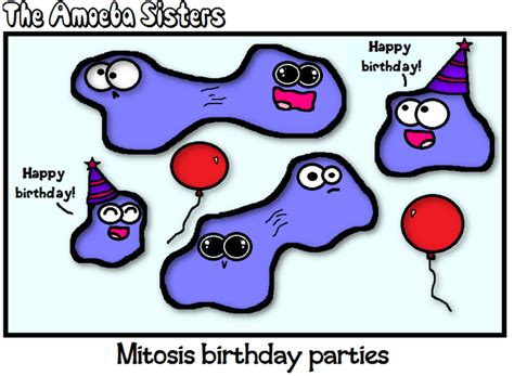 Amoeba Sisters Mitosis Vs Meiosis Challenge Quiz Quizizz