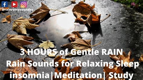 3 Hours Of Gentle Rain Rain Sounds For Relaxing Sleep Insomnia