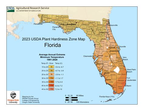 Florida Plant Hardiness Zones Map And Gardening Guide - Gardenia Organic