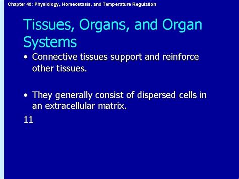 Chapter 40 Physiology Homeostasis And Temperature Regulation CHAPTER