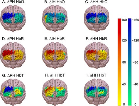 Changes in steady-state oxyhemoglobin (A–C), deoxyhemoglobin (D–F), and ...