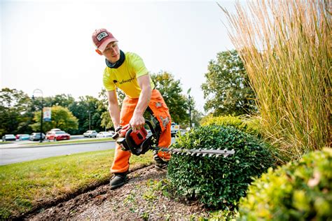 6 Reasons To Outsource Your Facilitys Grounds Maintenance