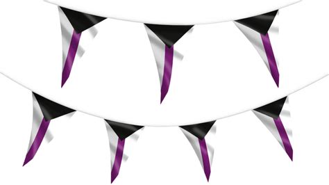 Demisexual Pride Bunting Hampshire Flag Company