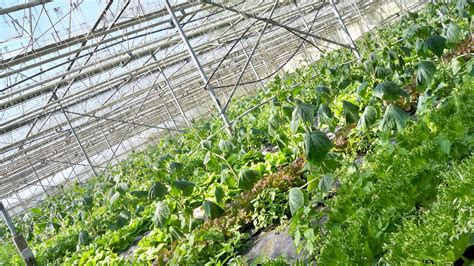 Tuinderij Zonneklaar Wijn Winkel