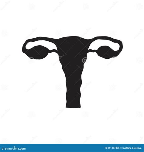 Vector Hand Drawn Uterus Silhouett Stock Vector Illustration Of Organ