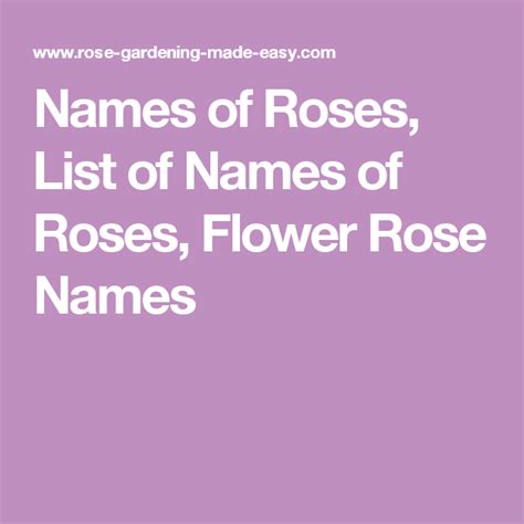 Names Of Roses List Of Names Of Roses Flower Rose Names Rose Names