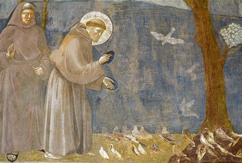 Sermon To Birds Fresco Basilica Of St Francis Pictures Getty Images