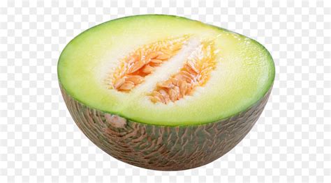 Le Miellat Cantaloup Melon De Hami Png Le Miellat Cantaloup Melon