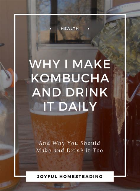 Kombucha Tea Benefits Include Improved Immune Health