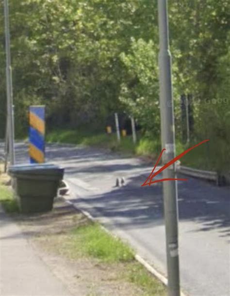 What The Hell Are This Things On Swedish Roads And Why Does Anyone