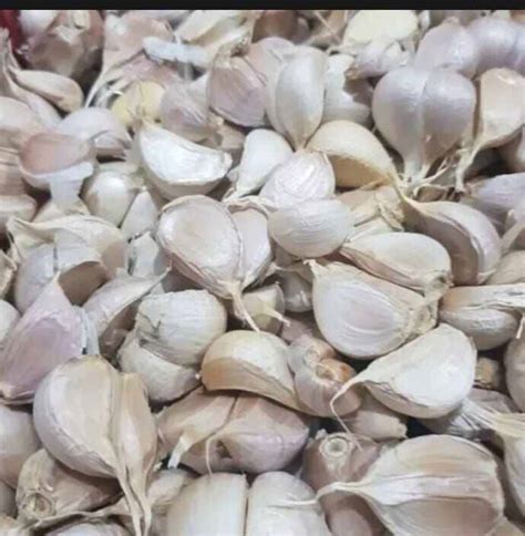 Bawang Putih Kating Super 1 Kg Lazada Indonesia