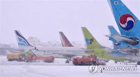 폭설·강풍·난기류 제주공항 기상악화 결항 폭증