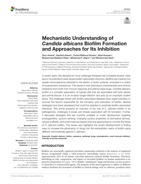 Pdf Mechanistic Understanding Of Candida Albicans Biofilm Formation