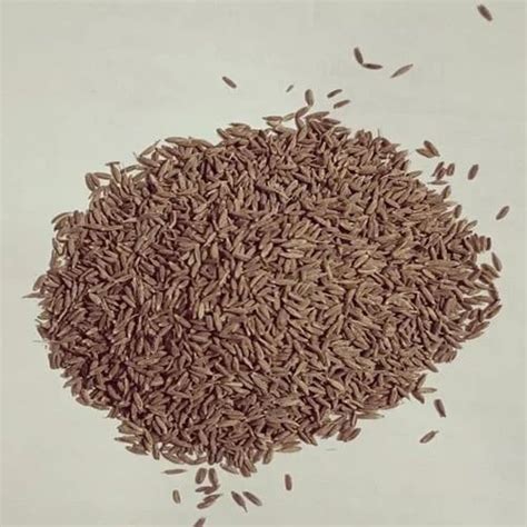 Organic Brown Cumin Seed Packaging Type Loose At Rs 420 Kg In Purnia