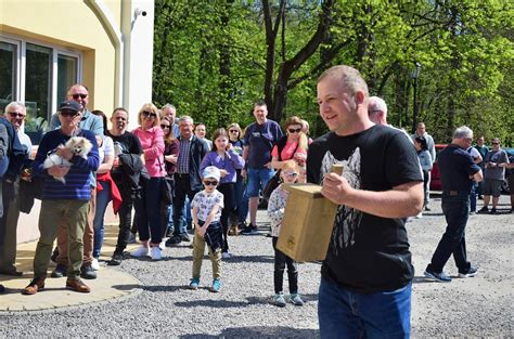 Mieszka Cy Tarnobrzega T Umnie Przyszli Po Darmowe Budki L Gowe Dla