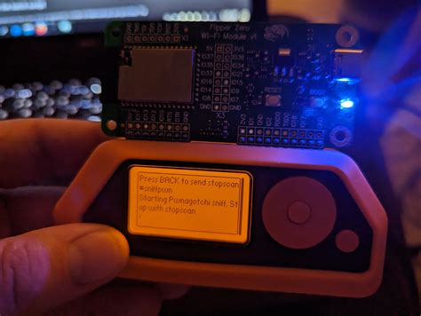 Fun Things To Try With Your Flipper Zero And Wifi Devboard Dergnz