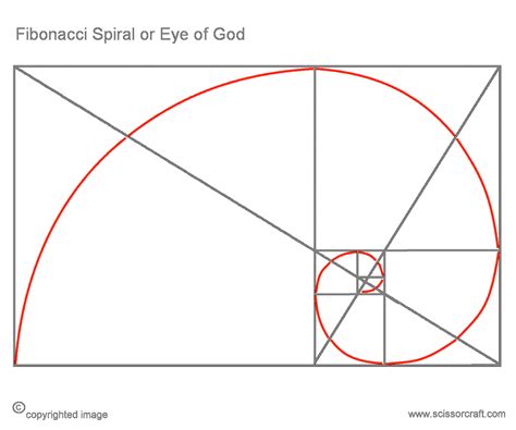 Fibonacci Spiral -- Spirals found in nature | Fibonacci spiral ...