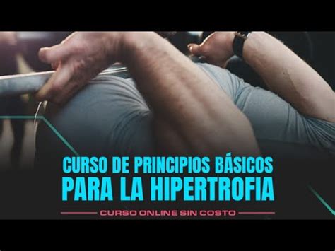 Curso Principios Básicos para la Hipertrofia YouTube