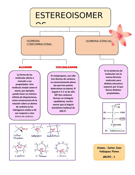 Mapas Conceptuales De Carbonos Y Alcanos Biolog A Celular Ucv Studocu