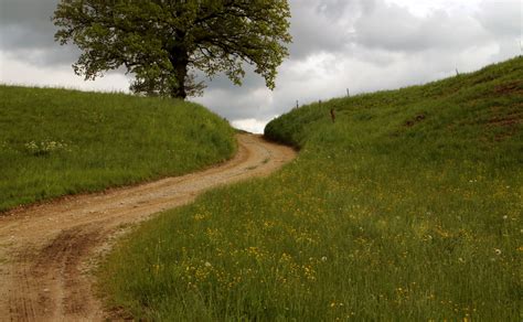 Kostenlose Foto K Ste Baum Natur Gras Berg Pflanze Stra E Feld