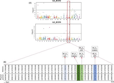 Frontiers Marker Assisted Introgression Of Wild Chromosome Segments